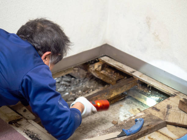 Best Crawl Space Mold Removal  in Heritage Hills, NY