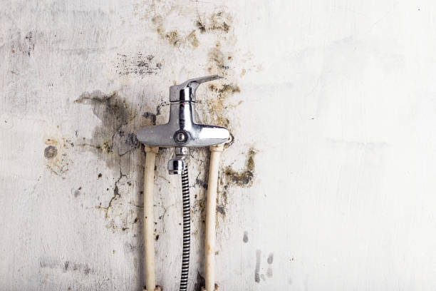 Best Mold Removal and Inspection  in Heritage Hills, NY