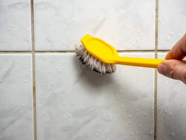 Trusted Heritage Hills, NY Mold Removal Experts