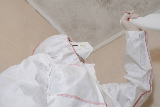 Mold Removal and Inspection in Heritage Hills, NY