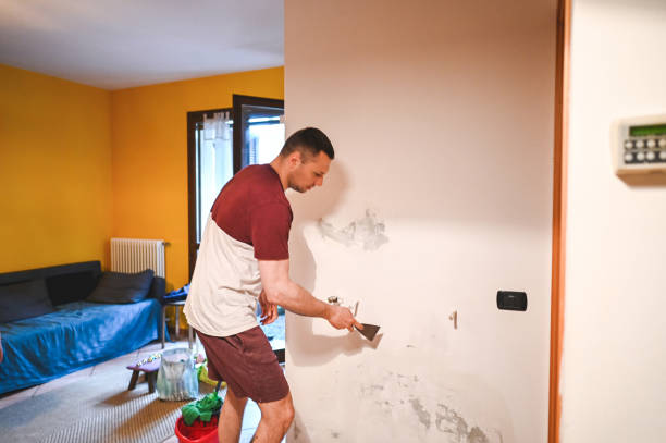 Best Mold Removal Near Me  in Heritage Hills, NY