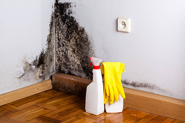 Best Emergency Mold Removal  in Heritage Hills, NY