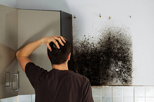 Best Commercial Mold Removal  in Heritage Hills, NY