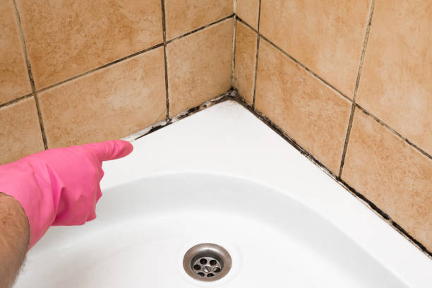 Best Mold Cleaning Services  in Heritage Hills, NY